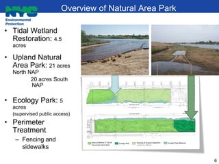 Overview of Natural Area Park
• Tidal Wetland
Restoration: 4.5
acres
• Upland Natural
Area Park: 21 acres
North NAP
20 acr...