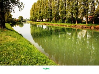 FIUME
 