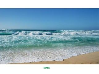 MARE
 