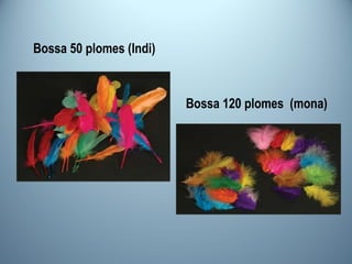 Bossa 50 plomes (Indi) Bossa 120 plomes  (mona) 