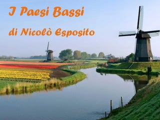 I Paesi Bassi
di Nicolò Esposito

1

 