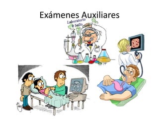 Exámenes Auxiliares
 