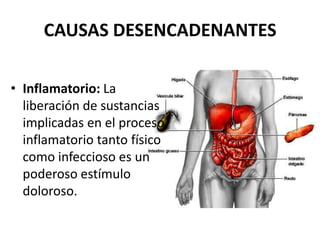 • Inflamatorio: La
liberación de sustancias
implicadas en el proceso
inflamatorio tanto físico
como infeccioso es un
poderoso estímulo
doloroso.
CAUSAS DESENCADENANTES
 