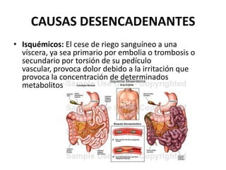 CAUSAS DESENCADENANTES
• Isquémicos: El cese de riego sanguíneo a una
víscera, ya sea primario por embolia o trombosis o
secundario por torsión de su pedículo
vascular, provoca dolor debido a la irritación que
provoca la concentración de determinados
metabolitos tisulares.
 