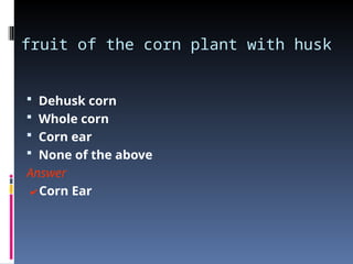 Philippine Agricultural Engineering Standards - Crop Processing Terms | PPT