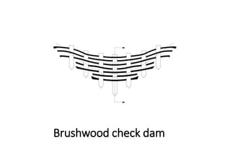 Brushwood check dam
 