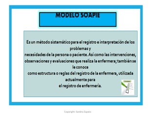 Copyright: Sandra Zapata
 