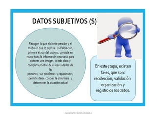 Copyright: Sandra Zapata
 
