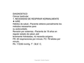 Copyright: Sandra Zapata
DIAGNOSTICO
Cáncer testicular
1. NECESIDAD DE RESPIRAR NORMALMENTE
❖ AIRE
Hábitos de salud.- Paciente obtiene parcialmente los
métodos necesarios para
su autocuidado.
Revisión por sistemas.- Paciente de 19 años en
regular estado de salud, piel
levemente hidratadas, no necesita oxígeno.
FR: 20 respiraciones por minuto. FC: 76 latidos por
minuto.
PA: 115/50 mmHg. T˚: 36.6˚ C.
 