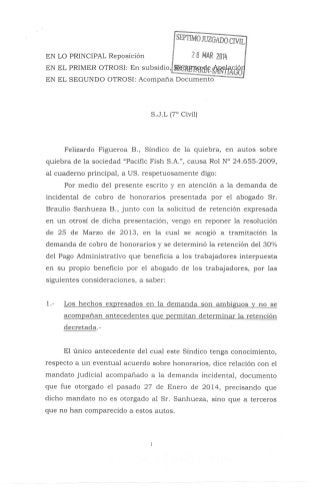 Pafco 2014, escrito del síndico de reposicion y apelación a retención, 28 03-2014
