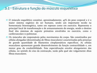 3.1 - Estrutura e função do músculo esquelético
 O músculo esquelético constitui, aproximadamente, 45% do peso corporal e é o
maior sistema orgânico do ser humano, sendo um importante tecido na
homeostasia bioenergética, tanto em repouso como em exercício. Representa o
principal local de transformação e de armazenamento de energia, sendo o destino
final dos sistemas de suporte primários envolvidos no exercício, como o
cardiovascular e o pulmonar.
 Os músculos são responsáveis pelos movimentos do corpo. São constituídos por
células alongadas (denominadas de fibras musculares) caracterizadas pela presença
de grande quantidade de filamentos citoplasmáticos específicos. As células
musculares apresentam grande desenvolvimento da função contractilidade e, em
menor grau da condutibilidade. Esta especialização envolve alongamento das
células, no sentido do eixo da contracção, razão pela qual são vulgarmente ditas
fibras musculares.
 