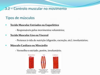 3.2 – Controlo muscular no movimento
Tipos de músculos
 Tecido Muscular Estriados ou Esquelético
- Responsáveis pelos movimentos voluntários;
 Tecido Muscular Liso ou Visceral
- Pertence à vida de nutrição (digestão, excreção, etc); involuntários;
 Músculo Cardíaco ou Miocárdio
- Vermelho e estriado, porém, involuntário.
 