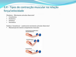 3.4 - Tipos de contracção muscular na relação
força/velocidade
Dinâmica – Movimento articular observável
• Concêntrica
• Excêntrica
• Isotónica
• Isocinética
Estática ( Isométrica) – ausência do movimento articular observável
• Manutenção do mesmo comprimento muscular .
 