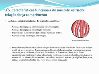 3.5. Características funcionais do músculo estriado:
relação força comprimento
 As funções mais importantes do músculo esquelético:
 Geração de força para a locomoção e para respiração;
 Geração de força para sustentação postural;
 Produção de calor durante períodos de exposição ao frio;
 Capacidade de locomoção e respiração.
 O tecido muscular estriado é formado por fibras musculares cilíndricas, finas e que podem
medir vários centímetros de comprimento. Possui células alongadas; encontramos presos
aos ossos; suas células são chamadas de mocitos ou fibras musculares; suas fibras
apresentam estrias transversais e latitudinais; contracção rápida e voluntária, isto é, podem
se contrair ou relaxar, dependendo da vontade (consciente), contracção rápida e forte; suas
células são multinucleadas. Ex.: Face, braço, perna, língua, etc.
Tecido muscular estriado
 