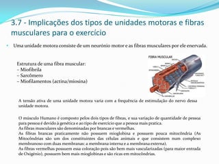 3.7 - Implicações dos tipos de unidades motoras e fibras
musculares para o exercício
• Uma unidade motora consiste de um neurónio motor e as fibras musculares por ele enervada.
Estrutura de uma fibra muscular:
– Miofibrila
– Sarcômero
– Miofilamentos (actina/miosina)
A tensão ativa de uma unidade motora varia com a frequência de estimulação do nervo dessa
unidade motora.
O músculo Humano é composto pelos dois tipos de fibras, e sua variação de quantidade de pessoa
para pessoa é devido à genética e ao tipo de exercício que a pessoa mais pratica.
As fibras musculares são denominadas por brancas e vermelhas.
As fibras brancas praticamente não possuem mioglobina e possuem pouca mitocôndria (As
Mitocôndrias são um dos constituintes das células animais e que consistem num complexo
membranoso com duas membranas: a membrana interna e a membrana externa).
As fibras vermelhas possuem essa coloração pois são bem mais vascularizadas (para maior entrada
de Oxigénio), possuem bem mais mioglobinas e são ricas em mitocôndrias.
 