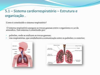 5.1 – Sistema cardiorrespiratório – Estrutura e
organização .
Como é constituído o sistema respiratório?
O sistema respiratório assegura as trocas gasosas entre o organismo e o ar da
atmosfera. Este sistema é constituído por:
• pulmões, onde se realizam as trocas gasosas;
• vias respiratórias, que estabelecem a comunicação entre os pulmões e o exterior;
 