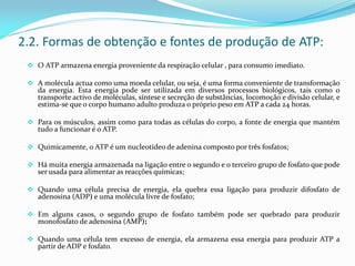2.2. Formas de obtenção e fontes de produção de ATP:
 O ATP armazena energia proveniente da respiração celular , para consumo imediato.
 A molécula actua como uma moeda celular, ou seja, é uma forma conveniente de transformação
da energia. Esta energia pode ser utilizada em diversos processos biológicos, tais como o
transporte activo de moléculas, síntese e secreção de substâncias, locomoção e divisão celular, e
estima-se que o corpo humano adulto produza o próprio peso em ATP a cada 24 horas.
 Para os músculos, assim como para todas as células do corpo, a fonte de energia que mantém
tudo a funcionar é o ATP.
 Quimicamente, o ATP é um nucleotídeo de adenina composto por três fosfatos;
 Há muita energia armazenada na ligação entre o segundo e o terceiro grupo de fosfato que pode
ser usada para alimentar as reacções químicas;
 Quando uma célula precisa de energia, ela quebra essa ligação para produzir difosfato de
adenosina (ADP) e uma molécula livre de fosfato;
 Em alguns casos, o segundo grupo de fosfato também pode ser quebrado para produzir
monofosfato de adenosina (AMP);
 Quando uma célula tem excesso de energia, ela armazena essa energia para produzir ATP a
partir de ADP e fosfato.
 