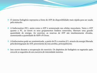  O sistema fosfogênio representa a fonte de ATP de disponibilidade mais rápida para ser usada
pelo músculo.
 A fosfocreatina (PC), assim como o ATP é armazenada nas células musculares. Tanto o ATP
quanto a PC, ao terem os seus grupamentos fosfatos removidos, libertam uma grande
quantidade de energia. Ao exercitar, as reservas de ATP são imediatamente clivadas,
aumentando a quantidade de ADP e Pi livres.
 A fosfocreatina pode ser ressintetizada, a partir de Pi e creatina (C), através da energia liberada
pela desintegração de ATP, proveniente da rota aeróbia, principalmente.
 Isso ocorre durante a recuperação do exercício. Os depósitos de fosfagênio se esgotarão após
cerca de 10 segundos de um exercício de intensidade máxima.
 