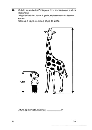 Pafericaomat2ciclo2002