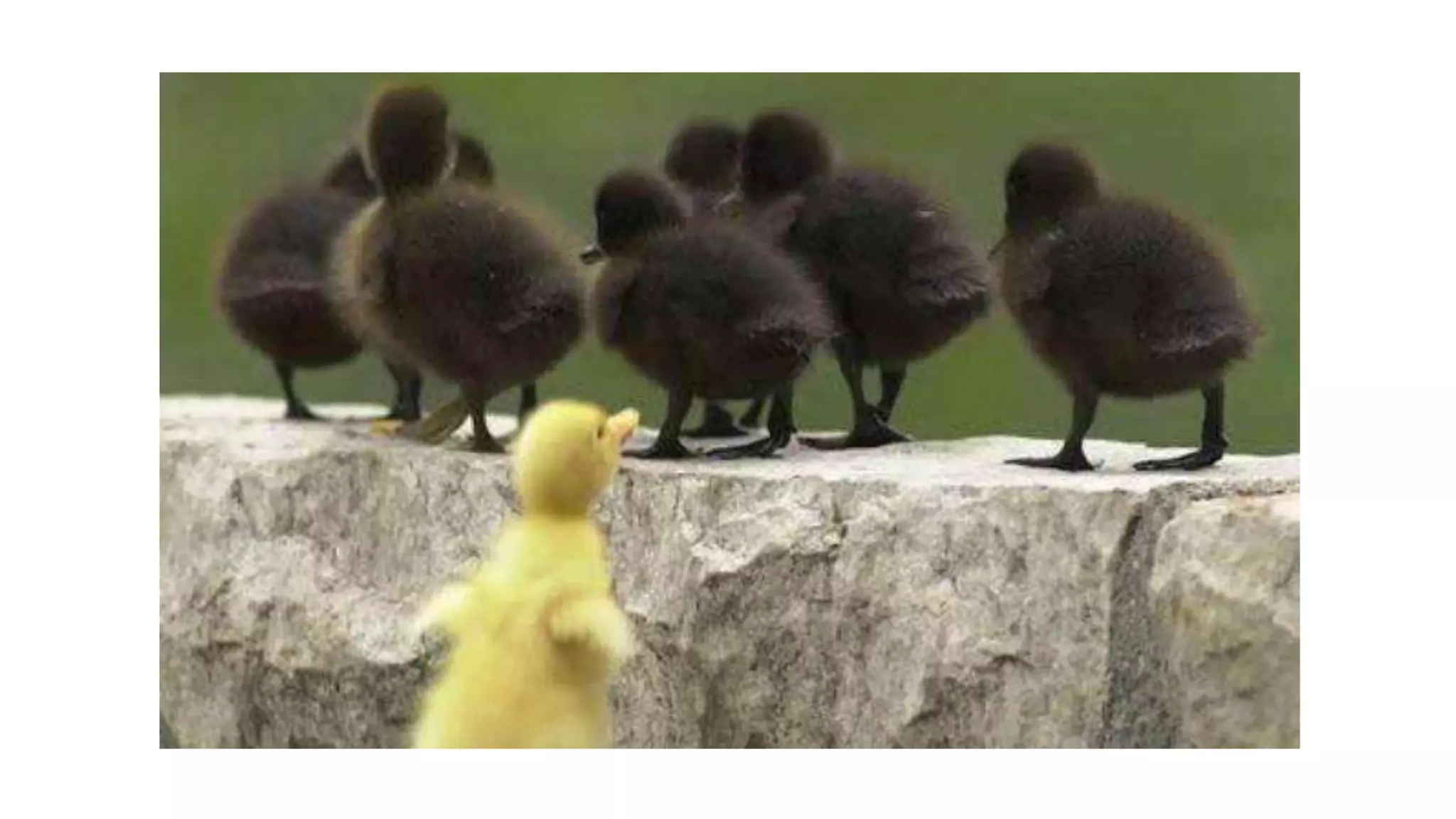 Pag aalsa sa san jose | PPTX