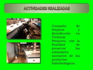 Campaña de limpieza y desinfección en Terminal Pesquero, con la finalidad de preservar los estándares sanitarios de los productos hidrobiológicos. 