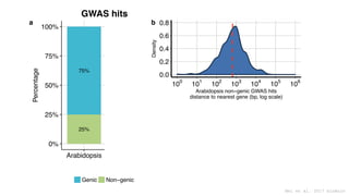 25%
75%
78%
22%
0%
25%
50%
75%
100%
Arabidopsis Maize
Species
Percentage
Genic Non−genic
a
0.0
0.2
0.4
0.6
0.8
100
101
102...