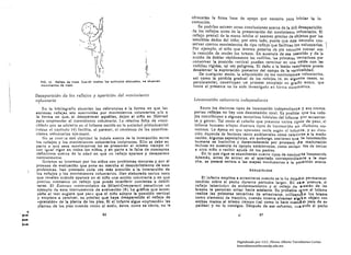 ofrecerán la finne base de apoyo que necesita para Iniciar la lo­



                                                   ~

                                                           J1
                                          ~                1
                                                                                                     comoción.


                                        ~~i"~~

                                         í . -,"   ~        J
                                                                                                         'Se podrían extraer otras conclusiones acerca de la útil desaparlc16n
                                                                                                     de los reflejos antes de la presentación del movimiento voluntario. E.l

                                       '--.'(~(                                                      reflejo prensil de la mano inhibe el examen preciso de objetos por los

                                       . 0.-~, J
                                                                                                     sensibles dedos del niño; por otro lado, puede que éste necesite con­
                                                                                                     servar ciertos movimientos de tipo reflejo que facilitan los voluntarios.



                                          r~-('
                                                                                                     Por ejemplo, el niño que intenta ponerse de pie necesita contar con
                                                                                                     la reacción de tender los brazos. En ausencia de esa reacción y de la
                                                                                                     acciÓn de doblar rápidamente las rodillas, las primeras tentativas por
                                                                                    ¡                conservar la posición verlical pueden terminar en una calda con las
                                                                                    ,~,               rodillas rígidas, tal vez peligrosa. El daño o la lesión resultante puede
                                                       ~;                           "'.
                                                                                    t~! t,
                                                                                                      desalentar la exploración posterior del campo de la verticalidad.
                                                                                                          De cualquier modo, In adqllislclón de los movimientoS vOluntllrlos, 

                                                       !                                              as! como la pérdida gradllal de los rel1ejo$ (o, en algunos callOS, su 

              FIG. 12. flollolo do tropa. Cuando medIan IOI·e~lImulo. adecuados.   SI     observen    persistencia), constituyen un proceso complejo en grada ~lImQ, que 

              mQ"lml,nIQA do Hopa.
                                                                                                      hasta" el presente no ha sido investigado en forma si3teOl~llca. 


           DesapariciólI de los reflejos y apariciólI del movimiento
           v?lwltario                                                                                 LocolHoció/l vo/rm/aria imlepetuliell/e
                En la bibliografía abundan las referencias a la fonna en que las                          Entre 105 distintos tipos de locomoción independiente:': y sus contra.
           acciones rellejas san sustituidas por movimientos voluntarios y/o a                        partes reflejas no hay lila desconexión t011l1. Es posible 11110 0$ rclle.
           la tOI-ma en que, al desaparecer aquéllas, dejan al nll"lo en libertad                     jos contl'lbuyl1l n IIISlIlIilS tenlntlvLls inlclules del Infulllc iH)' 11'1'1511'11'.
           para emprender el movimiento vo.lllntarlo. 1.11 relatlvn fnlln de -tonl·                   se y glllCnl', Tul como el cnllllo que presentll ,Ul'iI)S lipllS de pnso, el
           dtlo,. 'lile Se lHlvlerte cn el IlIftmte ll1cldo en In sllcledlH prelndustrlll         ¡nflllle humDno ndoptn ¡liversos tillllS dI! Incollllw!hl cn 111 s ti nt IlS nl·
           ('.!i1~C el capitulo 14) facilita, al parecer, el comll!llzo de las coonllnll ­           menlos. Ln épocn en QlC npnn:ccll vul'll según cl Inflll1 te, y SlI Imu·
           ciones voluntarias ojo-muno.                                                               ción depende de filctorl!s tDIlIO amblenlales como relal! ",05 a la madu·
                No se COIlC':C con darhlad la IndlJle I!Xllcta de la interacción entre                 raciÓn. Algunos especialistas, sin embargo, sosticmen que In locomociÓn
           los rcllejo~ y los movimientos voluntarios inclpl·~ntes. Ello se debe en                    humana es InstIntiva y desencadenada por procesos de maduraciÓn
           parte:. a que esos movimientos no SIII presentan al mismo tiempo ni                         incluso en ausencia de apoyos ambientales, como serían los de imilar
           con I¡,:ua vigor en lodos los nlflo$, y en parte a la falta de conceptos                   a otro nlio o recibir ayuda de 105 padres.
           definitivos acerca de la edad en que un retlejo aparece y desaparece                            En lo que !Igue se examinarán cuatro tipos de conduc la locomotriz.
           nonnlllmc:nte.                                                                              Además, antes de entrar en el apartado correspondlcn te a la mAr.
                Quien!:s se Interesan por los nlflos con problemas motores y por el                    cha, se pasará revista a las etapas conducentes a la posición erecta.
           proceso de evaluaciÓn que pone en marcha el descubrimIento de esCJs
            problemas. han prestado cada vez más atenciÓn a la InteracciÓn de                                                              ARRASTRARSl!
            los renejos y los movimientos voluntarios. Han elaborado varios tests
            que revelan cuándo aparc:ce en el niño una acción voluntnrla y en qué                         El Infante empieza a arrastrarse cuando se lo ha dejadO permanecer
            preciso momento un rel1ejo que puede Interferir comienza a debill·                        tendido sobre el pecho durante perlados largos. En eS a postura, el
            tarse. El EX(lIll,!/l lIIocorscdpico de Mllanl-Comparettl con511tuyc un                   retleJo laberlr.t1co de enderezamiento y el rel1ejo de sostén de los
            ejemplo de: esos Instrumentos de evaluación (8). La gráfica que acom·                     brazos le permiten mirar hacia adelante. Es probable q le el infante
            pafia al test sugiere que para que el nll'lo adopte la posición vertical                  realice las primeras tentativas de arrastrarse, utillzanc1 o los bruos
            y empiece a caminar, e5 preciso que haya desaparecido el reflejo de                       como elemento de tracel!!n, cuando ¡nteD ta alcanzar all.... n objeto con
             -prensJóna de la planta de los pIes, SI el Infanle sigue .. curvando> las                ambas manos al mismo tiempo (tal como 10 hace cuando yace de es·
             pfantils de los pies cuando tocan el suelo, éstos, como e,·'obvlo, no le                 paldas) y no lo consigue. Después de ese esfuerzo, cua ndo el pecho
       •
........                                                    86 
                                                                    Al            87
 .­
 t-


                                                                                                                                   Digitalizado por: I.S.C. Hèctor Alberto Turrubiartes Cerino
                                                                                                                                   hturrubiartes@beceneslp.edu.mx
 