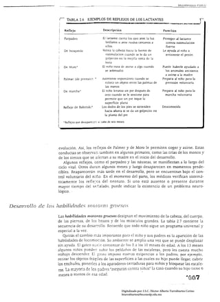 Vl:.:>ARkULLü f¡S¡CU




                        Reflejo                           Descripción                                     Función

                       Parpadeo                           El la1.rante cierra los ojm ante la luz 
       Proteger al lactante
                                                             brillante o ante ruidos cercanos a 
           contra estimulación
                                                             ellos 
                                        fuene
                       De busqueda                        Voltea la cabez.a hacia la fuente de            Le ayuda al niño a
                                                            I'!stirnulación cuando se le da un              encontrar el pezón
                                                            solpecito en la mejillJ cerca d(! la
                                                            oo1.a
                       De ,<loro"                        El niño trata de asirse a Jlgo cuando           Puede haberle ayudado a
                                                            se sobresalta                                   los animales ancestros
                                                                                                            a asirse a la madre
                       Palmar (de prensic);: "           Asimiento espontáneo cuando se                   Prepara al niño para la
                                                           1.oloca un objeto entre las palmas de            prensión voluntaria
                                                           las manos
                       De m;¡rcha"                       El niño levanta un pie después de                Prepara al niño para la
                                                           otro cuando se le sostiene para                  marcha voluntaria
                                                           permitir que un pie toque la
                                                           superficie plana
                       Reflejo de Babinski"              Los dedos de los pies se extienden               Desconocida
                                                           hacia afuera si se da un golpecito en
                                                           la plant.1 del pie

                       "Reflejos que   desapareG~:: ~j   cabo de seis meses.




                    evolución. Así, los relejas de Palmer y de Moro le permiten coger y asirse. Estas
                    conductas se ooserll'e:J. también en algunos primates, como las crías de los monos y
                    de los simios que se cierran a su madre en el inicio del desarrollo.
                       Algunos reflejos, como el parpadeo y las náuseas, se manifiestan a lo largo del
                    ciclo vital. Otros duren algunos meses y luego desaparecen en momentos prede­
                    cibles. Reaparecerán más tarde en el desarrollo, pero se encuentran bajo el con­
                    trol voluntario del nif;o. En el momento del parto, los médicos verifican sistemá ­
                    ticameme los refle;Gs del neonato. Si uno está ausente o presente durante
                    mayor tiempo del sr::":alado, puede indicar la existencia de un problema neuro­
                    lógico. ­


DesclJ-Tollo de Ins lznhilidndes            JJlOwrrr:, grucsn.~

                    Las 1zabI7idadcs motoras gmeslls dcsignan el movimiento de la cabeza, del cuerpo,
                    de las piernas, de los brazos y de los músculos grandes. La tabla 2.7 comiene la
                    secuencia de su desar-:-o]]o. Recuerde que todo niño sigue un programa universal y
                    especial a la vez.
                       Quizás el cambio r.;js importante para el niño y sus padres es la aparición de las
                    habilidades de locomoción. Su ambie:lte se amplia una vez que sc puede desplazar
                    sin ayuda. El g<1tCO s:":r::>~ comenzar de: los 3 a los 10 meses de edad. A los 13 meses
                    algunos :liños PLlcde:-: subir los peld<lilos de las escaleras, pero les cuesta mucho
                    trabajo descendn. El ;J.1:CO impone nue;;:¡s exigencias a los padres; por ejemplo,
                    retirar los objetos frjg-:ies de las superficies a las cuales su hijo puede llegar, cubrir
                    los enchufes, ponerles él los aparadores cerraduras para niños y bloquear las escale ­
                    ras. La rr.ayoria de los padres .I("segur~ln contra n!ños" la casa cuando su hijo tiene 6
                    meses o menos ele esa -:dacl.



                                                                         Digitalizado por: I.S.C. Hèctor Alberto Turrubiartes Cerino
                                                                         hturrubiartes@beceneslp.edu.mx
 