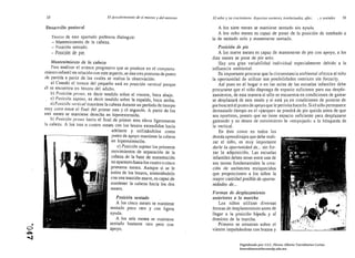 58                                  El drsC/lbrimiellto de sí mismo y del enlomo   El niño y SIl crecimiento. Aspectos II/otores, intelect!/ales, afee.   • )' sncínles   59

         Desarrollo post IIl'al                                                                A los siete meses se mantiene sentado sin ayuda.
                                                                                               A los ocho meses es capaz de pasar de la posición dc tumbado a
              Dentro de este apartado podemos distinguir: 
                                 la de sentado solo y mantenerse sentado.
              - Mantenimientq de la cabeza. 

              - Posición sentado. 
                                                            Posición de pie
              - Posición de pie. 
                                                              A los nueve meses es capaz de mantenerse de pie con apoyo, a los
                                                                                            diez meses se pone de pie solo.
              Malltellimiento de la cabeza                                                     Hay una gran variabilidad individual especialmente debido a la
              Para analizar el avance progresivo que se produce en el comporta­             influencia ambiental.
         miento infantil en relación con este aspecto, se dan (res posturas de punto           Es importante procurar que la circunstancia ambiental ofrezca al niño
         de partida a partir de las cuales se realiza la observación:                       la oportunidad de utilizar sus posibilidades motrices sin forzarl9.
              a) Cuando el tronco del pequeño está en posición vertical porque                 Así pues en el hogar o en las aulas de las escuelas infantiles debe
         él 	se encuentra en brazos del mlulto.                                             procurarse que el niño disponga de espacio suficiente para sus despla·
             b) Posición prono, es decir tendido sobre el vientre, boca abajo.              zamientos, de esta manera si sólo se encuentra en condiciones de gatear
             e) Posición supino, es decir tendido sobre la espalda, boca aniba.             se desplazará de este modo y si está ya en condiciones de ponerse de
          . a) PosiciólJ vertical mantiene la cabeza durante un período de tiempo           pie buscará el punto de apoyo que le permita hacerlo. Si el niño permanece
         muy corto entre el final del primer mes y el segundo. A partir de los              demasiado tiempo en el «parque» se pondrá de pie quizás antes de que
         tres meses se mantiene derecha en hiperextensión.                                  sea oportuno, puesto que no tiene espacio suficiente para desplazarse
                 Posición prono hacia el final de primer mes eleva ligeramente              gateando y su deseo de movimiento le «empujanÍ» a la búsqueda de
         la cabcza. A los tres o cuatro 1I1eses con los brazos extendidos hacia             la vertical.
                                               adelante y utilizándolos como                    En éste como en todos los
                                               punto de apoyo mantiene la cabeza            demás aprendizajes que debe reali·
                                               en hiperextensión.                           zar el niño, es muy importante
                                                   c) Posición supino los primeros          darle la oportunidad de ... sin for­
                                               movimientos de separación de la              zar la adquisición. Las escuelas
                                               cabeza de la base de sustentación            infantiles deben tener entre una de
                                               no aparecen hasta los cuatro o cinco         sus tareas fundamentales la crea­
                                               primeros meses. Aunque si se le              ción de ambientes enriquecidos
                                               estira de los brazos, sosteniéndolo          que proporcionen a los niños la
                                               con una tracción suave, es capaz de          mayor cantidad posible de oportu­
                                               mantener la cabeza hacia los dos             nidades de ...
                                               meses.
                                                                                            Formas de desplazamiento
                                                 Posicióll sentado                          anteriores a la marcha
                                                 A los cinco meses se mantiene                  Los niños utilizan diversas
                                              sentado poco rato y con ligera                fonnas de desplazamiento antes de
                                              ayuda.                                        llegar él la posición bípeda y al
                                                 A Jos seis meses se mantiene               dominio de la marcha.
O
  .. 
                                        sentado bastante rato pero con 
                  Primero se arrastran sobre el                                                      .,
                                              apoyo.                                        vientre impulsándose con brazos y
~
~
                                                                                                              Digitalizado por: I.S.C. Hèctor Alberto Turrubiartes Cerino
                                                                                                              hturrubiartes@beceneslp.edu.mx
 