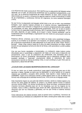 a la influencia del medio sociocultural. Esto significa que la adquisición del lenguaje verbal
depende, por un lado, de estructuras anatómicas que la posibilitan biológicamente y, por
otro la~o, de la influencia fundamental del medio ambiente. Es decir, dicho proceso está
determmado por la acción o influencia de agentes externos (medio sociocultural) a través
de las propiedades y condiciones internas del organismo, tal como sostenía Rubinstein
(1973).

De esa forma, la adquisición del lenguaje verbal viene a ser, por un lado, una posibilidad
biológica, cuyo soporte material principal es el sistema nervioso, específicamente el
cerebro, sobre cuya evolución e integración se incorpora progresivamente esta cualidad.
Tal posibilidad, se sabe, viene genéticamente programada, razón por la que el cerebro
humano tiene la capacidad innata (Chomsky, 1951) Y exclusiva para tal adquisición. Y, por
otro lado, depende, en gran medida, de la mayor o menor "presión ambiental", que es
fundamental para el aprendizaje y organización de este medio de comunicación entre los
seres humanos.

Podemos afirmar, entonces, que si bien el habla es innata como posibilidad biológica,
cuando no se enseña no se aprende ni se incorpora. Un ejemplo patético y demostrativo
de la influencia sociocultural en esta adquisición es el caso de las niñas "Jabas· Amala y
Kamala2 • Estas niñas vivieron hasta los 8 años de edad únicamente con Jobos, tiempo
durante el cual adoptaron la forma de vida de las fieras y sólo aprendieron a emitir aullidos
de lobos.

Una vez que fueron rescatadas e incorporadas a la civilización, éstas tuvieron serias
dificultades para el aprendizaje y adquisición del habla así como para el desarrollo del
pensamiento, pese a que se propiciaron las condiciones más favorables para su
estimulación en forma conveniente, demostrándose que la disposición biológica había
quedado atrofiada o "soterrada", precisamente debido al aislamiento del medio
sociocultural durante la infancia de dichas niñas, lo cual constituyó un gran freno para la
adquisición y desarrollo del habla.


¿CUÁLES SON LAS BASES NEUROFISIOLÓG1CAS DEL LENGUAJE?

Si bien es cierto que el medio sociocultural juega papel fundamental para que el niño
aprenda a hablar, también es cierto que tal adquisición no sería factible sin un soporte
material que posibilite y encuadre dicho proceso. Este soporte o base material es el
CEREBRO: órgano de la estructura mental y piedra básica sobre el cual se edifican las
formas más complejas de la actividad mental (Luria, 1974) como es el lenguaje verbal.

Este importante órgano es una parte del sistema nervioso, siendo la médula espinal y los
nervios las otras partes del sistema. El cerebro y la médula espinal forman el sistema
nervioso central (SNC). Los nervios constituidos por fibras nerviosas, conductores de los
impulsos nerviosos aferentes (que van de los receptores, que son los órganos de los
sentidos, hacia el SNC) y eferentes (que vienen del SNC, especialmente del cerebro, a
efectores que son los músculos y glándulas), son los que forman el sistema nervioso
periférico.

Estas estructuras del sistema nervioso, tanto el central como el periférico, intervienen de
manera directa y/o indirecta en la adquisición del habla, constituyendo todas ellas su base

                                                                                                         2




                                                     Digitalizado por: I.S.C. Hèctor Alberto Turrubiartes Cerino
                                                     hturrubiartes@beceneslp.edu.mx
 