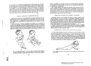 senta si el infante, en posición vertical, es Inclinado hacia la Izquierda
          la cuna, Uno es el reflejo de enderezamiento del cuerpo por rotación                       o la derecha. La cabeza tiende a conservar Sil posición vertical inicial
          de la cabeza, que se provoca haciendo girar la cabeza del Infante, echa ­                  en relaciÓn cun la gravl?dad,
          do de espaldas: el tronco gira, por acción refleja, en la. mi~ma direc­                        E.ste reflejo aparece alrededor del seg1.lndo mes después del naci·
          ción (figura 5), La acciÓn opuesta, es decir, el reflejo de endereza­                      miento, cuando el infante, tendido sobre el estómago, trata de mirar
          miento de la cabeza por rotaciÓn del cuerpo, se la provoca haciendo                        hacia arriba, Posteriormente, la cabeza es ayudada por la reacción de
          girar las piernas en una dirección, estando el niño en po~ición prono.:                     sostén de los brazos ante el mismo estimulo, cuando empujan sobre
          esa acción hace girar la cabeza en le misma direcciÓn, No es habituai                       la superficie de la cuna para permitir que la c"beza se mantenga er­
           que este reflejo perdure más allá del primer año de vidai                                  guida durante lapsos cada vez más largos.                           '
                                                                                ~
                                                                                 -1                             RUACCIONES nn sosrllN' Iln 1.0S ORAlOS y I.AS PII!RN",S
                           RefLIUO I.AOl!RhUICO DE ENDERl!ZAMIENTO              !t¡
                                                                                    "
                                                                                                          Alrededor de los cuatro meses. el Infante humano presenta lna
                Ihra vn. se advierte en el recién nacido el reflejo Inbcrlntlco de en­                reacciÓn similar a la qU! se advierte en los gatos: cuando se lo acerca
           tlerezamlento. que se tOI-na más fuerte al promediar el primer at'lo de                    a una superficie, extiende por acciÓn refleja los brazos. Indicando su
           vida, Contribuye a la adopción de una posición vertical de la cabeza                       disposición a sostenerse a s( mismo (figura 7). Alrededor del noveno
           y el cuerpo Y al movimicmto de avance del niño al concluir el pri­                         mes, se advierte ese mismo reflejo en as extremld¡,des Inferores. cuan ­
            mer año,                                                                                  do el Infante es bajado hllcia una SlIpertlcle, Este reneJo delllm~le dI,) Ll
                 l'or lo !,tcucral. cl infante lllunlfic$U cs~ rcflcjo cn su tendcnclal              estlmuaclÓn óptica y no se produce en la oscuridad.
            mantener la posición vertical alzando la cabeza cuando se Inclina su                           E.ntre el noveno '1 el duodécimo mes, se pUelele: prOVOCl1l' 11 rlilflcjO
           Icuerpo hacia adelante (figura 6), AnálogarT,cnte, si el nh'o en posIción                  de sostén de las plel'n!lll en lInll loa del ollu ••1 le vlclve . clolbel'u
             vertical es sostenIdo por los hombros c Incllnndo hacln !ltrás, 11 CII­                  del nll'o primero hacIa Il lado y después hacia el otro. cunsando el
             llelll. liC mOl/el'á hacia adelante, tratllndo slcmpl'e de mantener su                    reflejo tónico cervh:al descrito antes.
             poslcl6n original respecto de la gravedad, E.ste reflejo tambl6n se. pre'
                                                                                                               RUACCIONI!li IlIl TlUCCIlN       11 M~IA ",H1l111, CON' 1.l1S Ult!.ws

                                                                                                           Vnl'llls meses despllcs ,Ic 1lICC", el 11lf'1I111c. si se 1 smllclIl! ,le: 111'
                                                                                                       bas monos en posición vcrtleol y Se 0 Indlllll hllciu UII ludl) u otrO,
                                                                                                       tenderA a flexlollnr el brllzo aproplndo y lI'atllrá do recuperar 111 posl­
                                                                                                       elÓn vertical Inicial (figura S). Análogamente. si se lo sostiene de
                                                                                                        ambas manos y se lo Incllnll hacln'alrás. flexionará ambos brazol e In­
                                                                                                        tentará, al mismo tiempo, mantenerse vertical. Si estando en poslci6n
                                                                                                       vertical se lo sostiene de las dos manos y se lo Inclina hacia atlelallttl,
                                                                                                        el Infante presentará la misma reacción de S05l6n.




                                                                      (b)



                                     (a)

                  FIO. 6, R'lfI'loe I.bor/nllco •. En .1•• 1 el nlM .. Inelln.do h.el, .odollnlo.           FIG, 7. flaflalo do .oat'n. Al tOlcor ,.. m.nOl, una aup.rflcll horllonlll. lo. brno,
                  la cabon permlnoca I/ardcol. o .. dirige hacia Ilrh. En bl, ,.1 el nlllo ..               •• u,landan.
                  lnc:!lnado hlcla I"h. la cablll parmlnlce l/orlle.I, o .. dlrlga hlola Idalanll.

                                                         80                                                                                          81


.....•

      

O
CO
                                                                                                                                   Digitalizado por: I.S.C. Hèctor Alberto Turrubiartes Cerino
                                                                                                                                   hturrubiartes@beceneslp.edu.mx
 