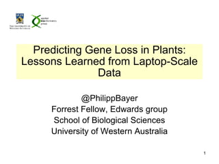 Predicting Gene Loss in Plants:
Lessons Learned from Laptop-Scale
Data
@PhilippBayer
Forrest Fellow, Edwards group
School of Biological Sciences
University of Western Australia
1
 