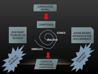 ENACTIVO ICÒNICO SIMBÒLICO DESEMPEÑOS EFICIENES LEY DE LOS ANDAMIAJES CURRÌCULO EN ESPIRAL JEAN PIAGET TEORÌA DE LOS ESTADIOS COMPETENCIA JEROME BRUNER APRENDIZAJE POR DESCUBRIMIENTO LOGROS DE APRENDIZAJE (COMPETENCIA) 