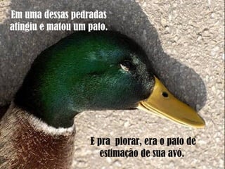 Em uma dessas pedradas
atingiu e matou um pato.
E pra piorar, era o pato de
estimação de sua avó.
 