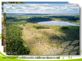 http://www.latvia.travel/lv/apskates-vieta/teirumnieku-purva-taka
 