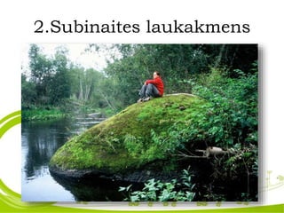 2.Subinaites laukakmens
 