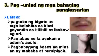 3. Pag –unlad ng mga bahaging
pangkasarian
Lalaki:
pagtubo ng bigote at
mga balahibo sa binti
gayundin sa kilikili at ibabaw
ng ari.
Paglabas ng lalagukan o
adam’s apple.
Pagbabagong boses na mins
an ay mababa at pumipiyok.
 