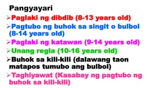 Pangyayari
Paglaki ng dibdib (8-13 years old)
Pagtubo ng buhok sa singit o bulbol
(8-14 years old)
Paglaki ng katawan (9-14 years old)
Unang regla (10-16 years old)
Buhok sa kili-kili (dalawang taon
matapos tumubo ang bulbol)
Taghiyawat (Kasabay ng pagtubo ng
buhok sa kili-kili)
 