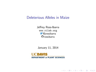 Deleterious Alleles in Maize
Jeﬀrey Ross-Ibarra
www.rilab.org
@jrossibarra
rossibarra

January 11, 2014

 