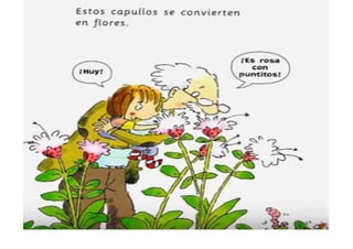 Cuento: Había una vez una semilla - II 