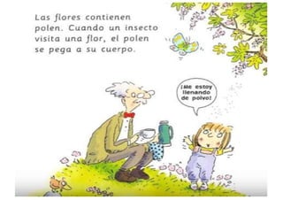 Cuento: Había una vez una semilla - II 