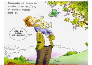 Cuento: Había una vez una semilla - II 