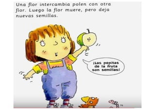 Cuento: Había una vez una semilla - II 