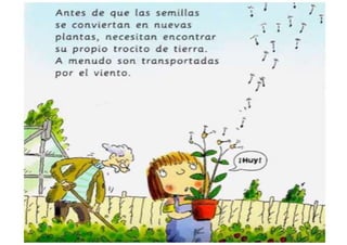 Cuento: Había una vez una semilla - II 