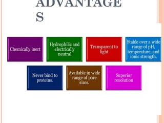 ADVANTAGE
S
 