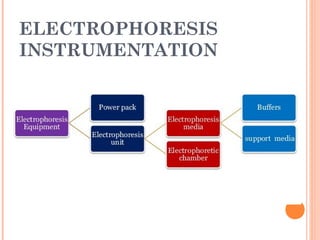 ELECTROPHORESIS
INSTRUMENTATION
 