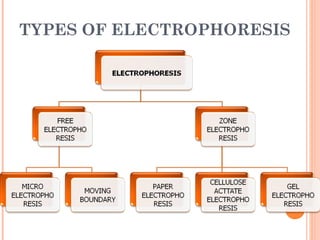 TYPES OF ELECTROPHORESIS
 