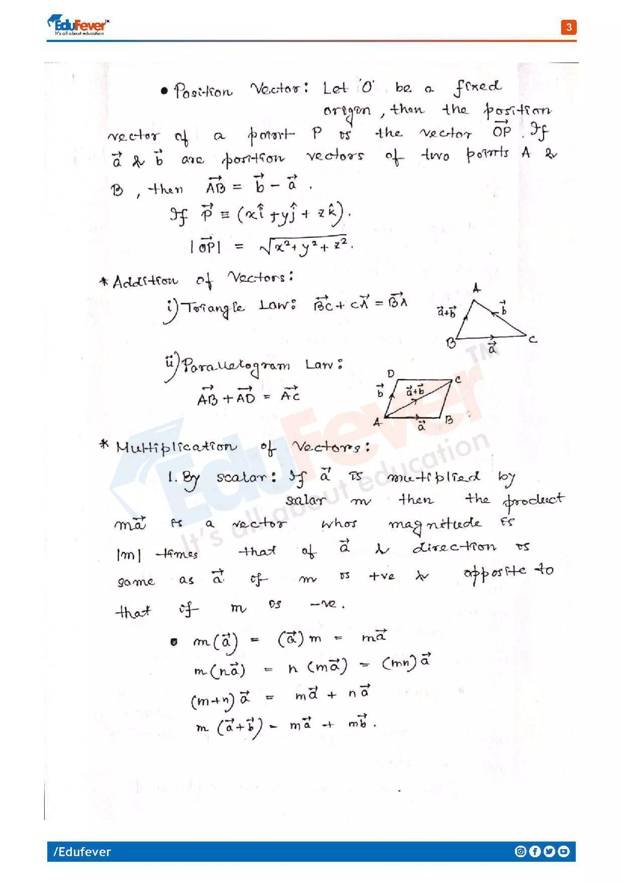 Vectors - Mathematics Handwritten Notes
