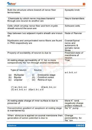 Neural Control & Coordination - Biology Revision Notes