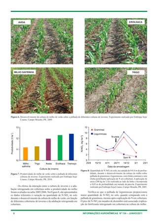 8 INFORMAÇÕES AGRONÔMICAS Nº 134 – JUNHO/2011
Os efeitos da interação entre a cultura de inverno e a adu-
bação nitrogenada em cobertura sobre a produtividade do milho
foram avaliados na safra 2005/2006. Na Figura 8, são apresentados
os dados referentes à variação na quantidade de N-NO3
no solo
durante o desenvolvimento da cultura do milho de verão, em função
de diferentes coberturas de inverno e da adubação nitrogenada em
cobertura.
Verifica-se que a palhada de leguminosas proporcionou
maior quantidade de N-NO3
no solo, quando comparada com a
palhada de gramíneas, mesmo após a aplicação do N em cobertura.
O pico de N-NO3
em meados de dezembro está associado à aplica-
ção do fertilizante nitrogenado em cobertura na cultura do milho.
Figura 6. Desenvolvimento da cultura do milho de verão sobre a palhada de diferentes culturas de inverno. Experimento realizado por Embrapa Soja/
Coamo, Campo Mourão, PR, 2009.
AVEIA
MILHO SAFRINHA
ERVILHACA
TRIGO
Figura 7. Produtividade do milho de verão sobre a palhada de diferentes
culturas de inverno. Experimento realizado por Embrapa Soja/
Coamo, Campo Mourão, PR, 2010.
Figura 8. Quantidade de N-NO3
no solo, na camada de 0-0,4 m de profun-
didade, durante o desenvolvimento da cultura do milho sobre
palhada de gramíneas e leguminosas, com (linha contínua) e sem
(linha pontilhada) aplicação de N em cobertura. A aplicação de
ureia (200 kg ha-1
) foi realizada ao lado da linha e incorporada
a 0,05 m de profundidade em metade da parcela. Experimento
realizado por Embrapa Soja/Coamo, Campo Mourão, PR, 2005.
 